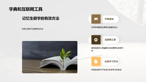 探索汉字的奥秘