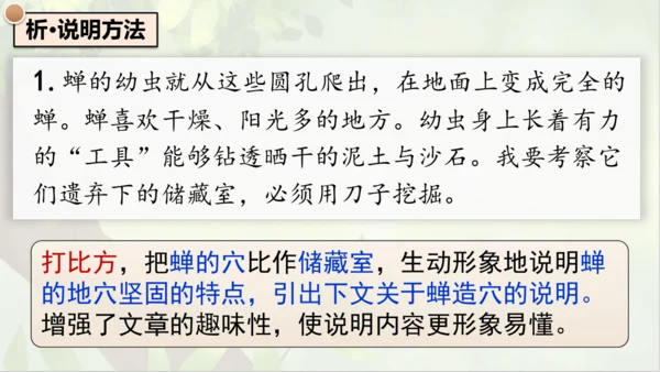 21《蝉》课件