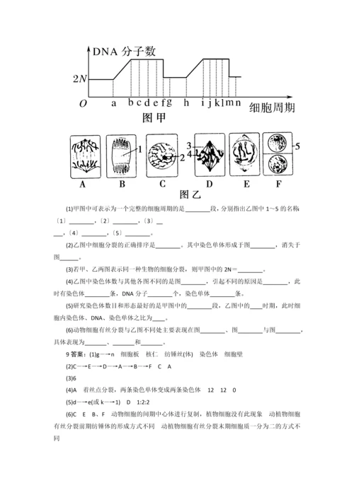 细胞增殖练习题.docx