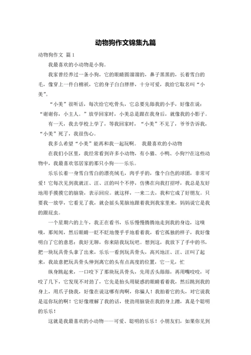 动物狗作文锦集九篇.docx