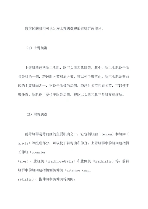 臂前区知识点总结