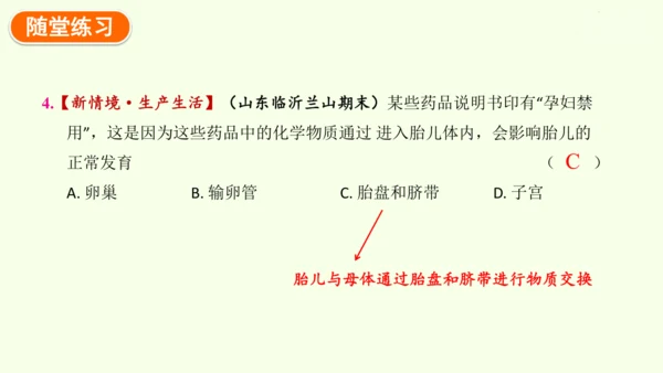 4.1.1人的生殖-七年级生物下学期同步精品课件（2024人教版）(共24张PPT)