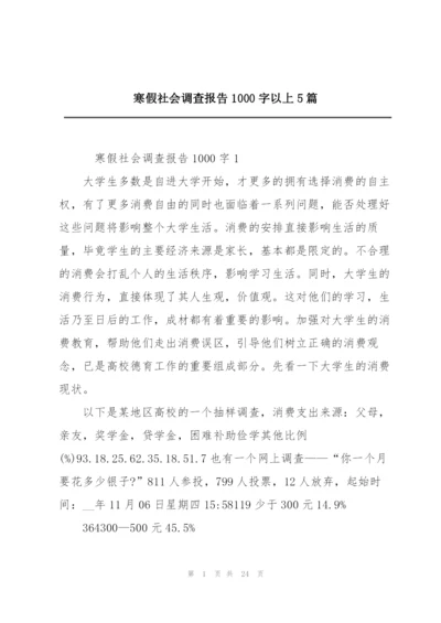 寒假社会调查报告1000字以上5篇.docx