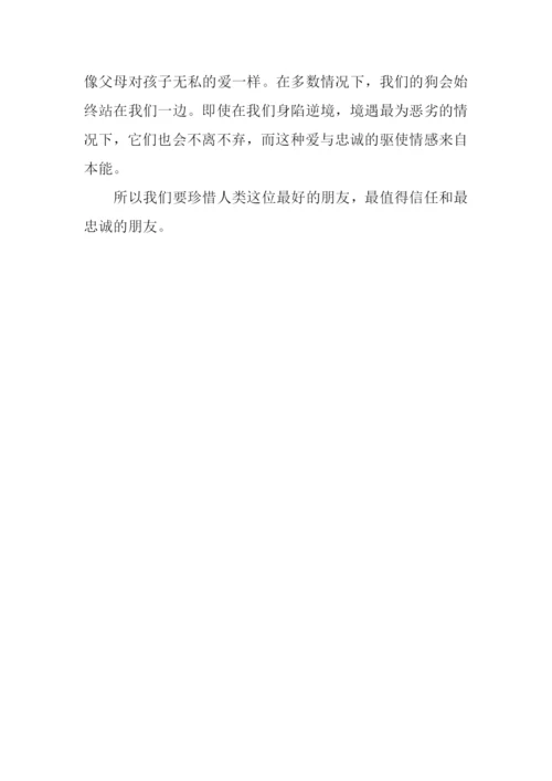 狗是人类的好朋友作文.docx