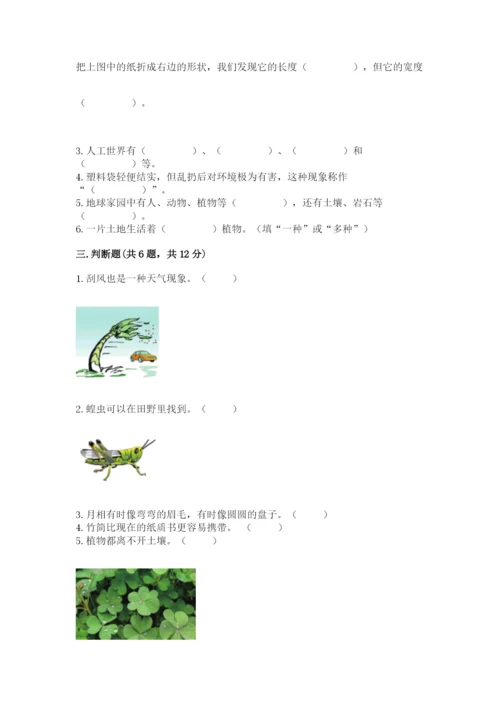 教科版小学二年级上册科学期末测试卷附参考答案（满分必刷）.docx
