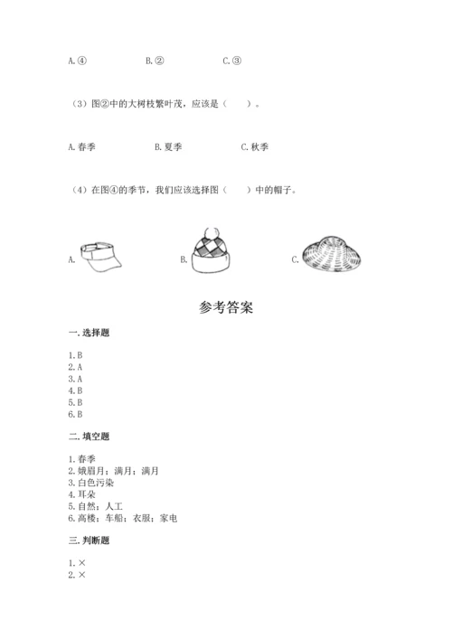教科版二年级上册科学期末测试卷带答案（模拟题）.docx