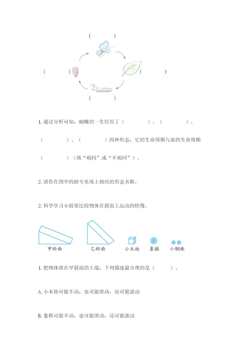 教科版小学科学三年级下册期末测试卷【原创题】.docx