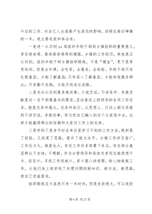 乡镇挂职锻炼工作总结五篇.docx