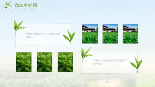 绿意新茶上市茶文化介绍通用PPT模板