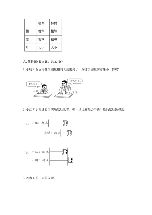 教科版科学一年级上册期末测试卷精品（能力提升）.docx