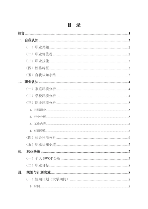 13页5200字物理专业职业生涯规划.docx