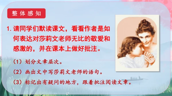 11《再塑生命的人》课件