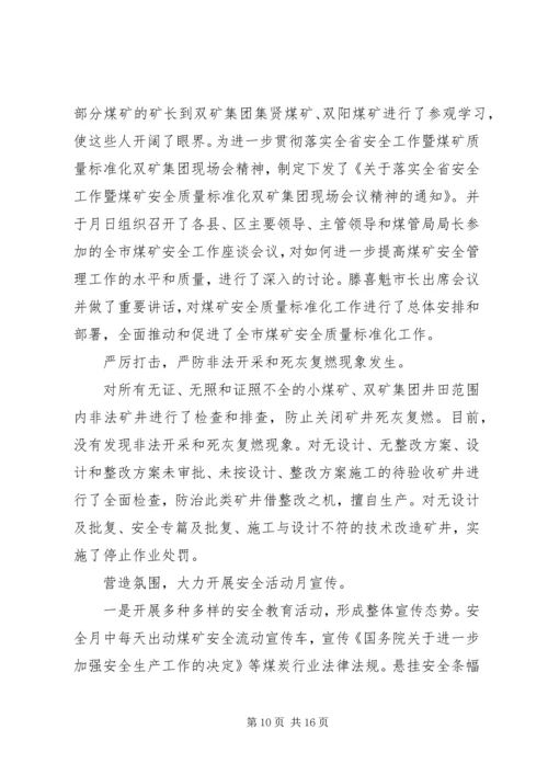 市煤管局上半年工作总结暨下半年工作安排 (2).docx