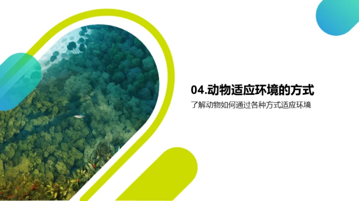 动物世界的奥秘