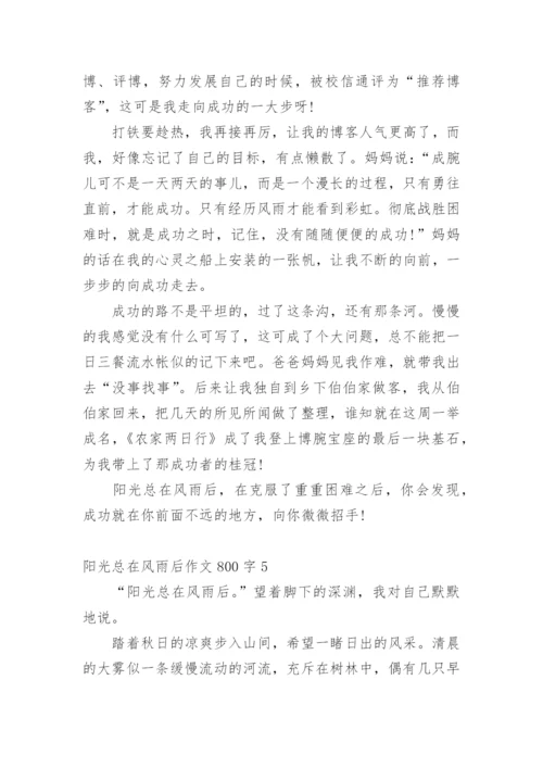 阳光总在风雨后作文800字.docx