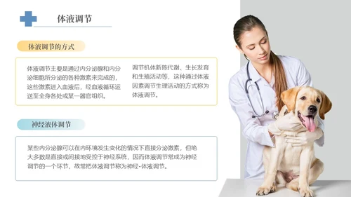 实拍风宠物解剖生理宠物解剖生理讲座PPT