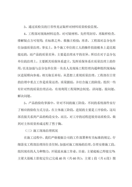 项目经理年度工作报告