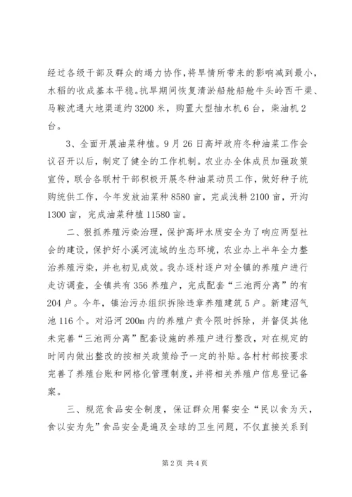 乡镇年度农业工作总结_1.docx