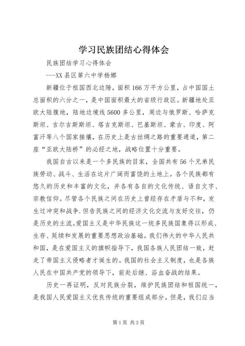 学习民族团结心得体会 (4).docx