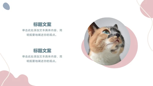 简约莫兰迪小清新PPT模板