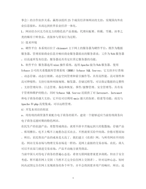 精编之网站商业计划书.docx