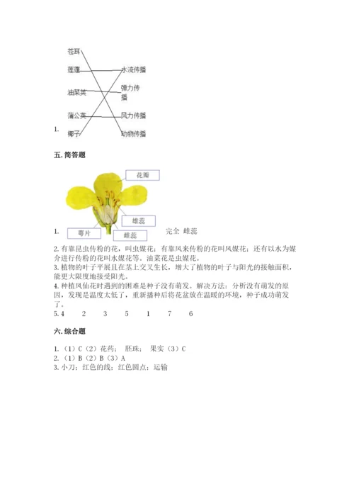 教科版四年级下册科学第一单元《植物的生长变化》测试卷精品（完整版）.docx