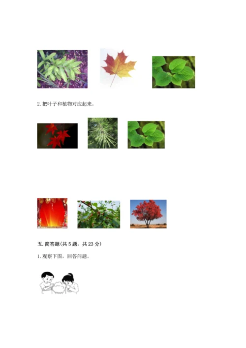 教科版一年级上册科学期末测试卷含答案.docx
