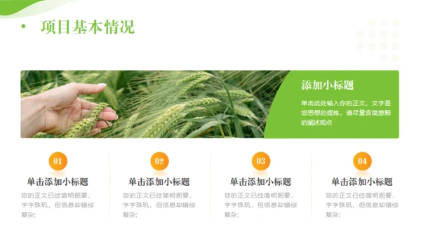 全面推进乡村振兴，田间经济通用PPT模板