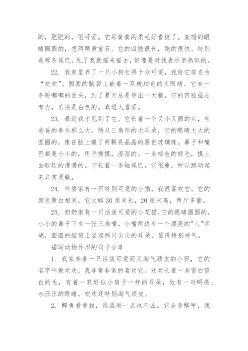 描写动物外形的句子.docx