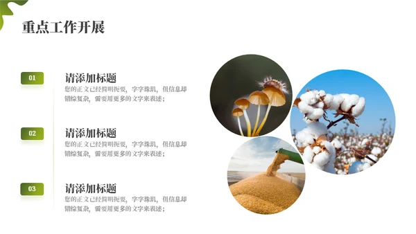 绿色乡村振兴项目工作汇报通用PPT模板