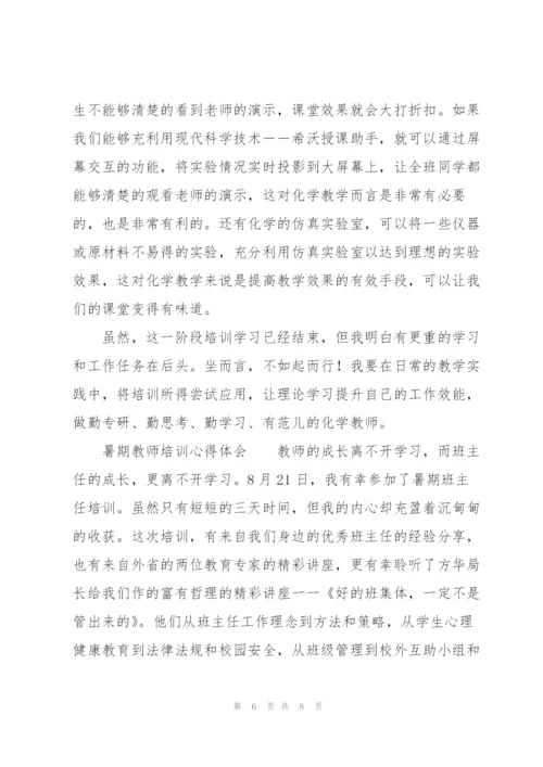 暑期教师培训心得体会.docx