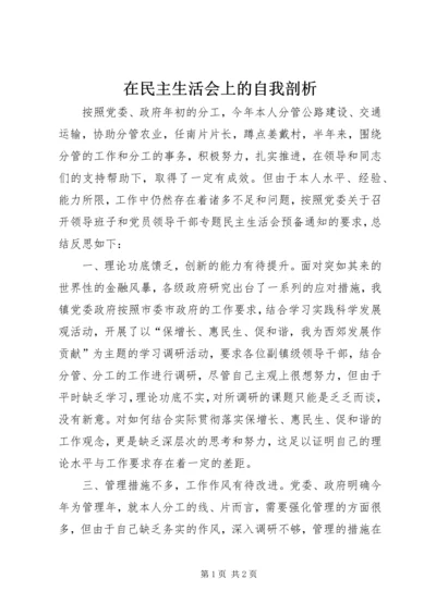 在民主生活会上的自我剖析.docx