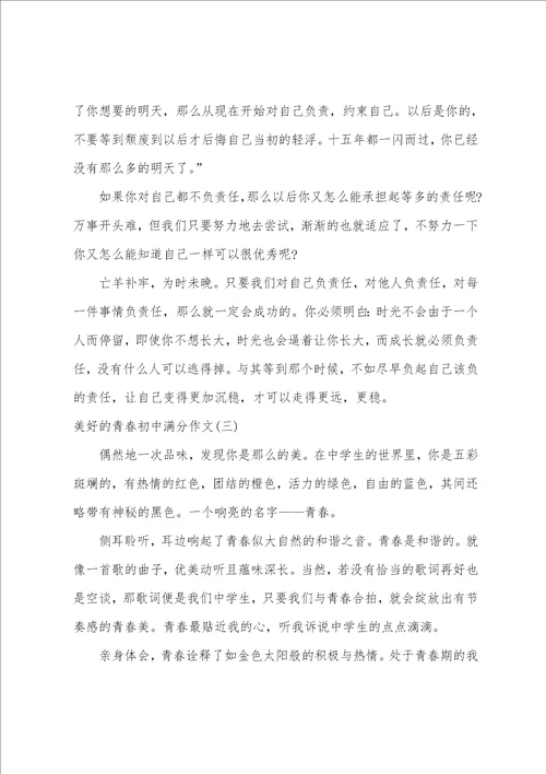 美好的青春初中满分作文精选10篇