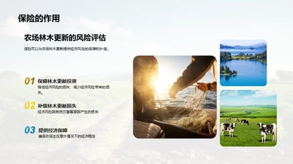 农林更新：投资与回报