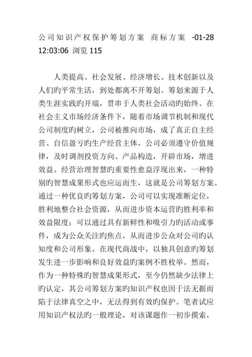 专题策划专题方案的知识产权保护专题方案.docx