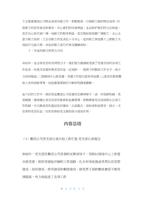 集团公司党支部自查自检工作汇报-党支部自查报告.docx