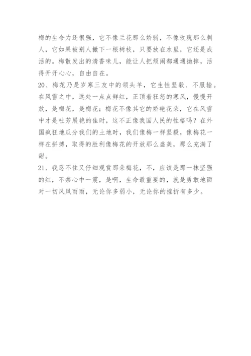 描写梅花的优美段落.docx