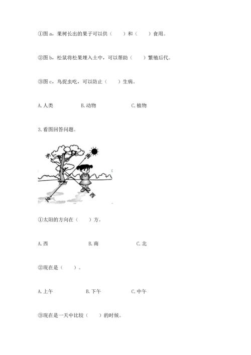 教科版二年级上册科学期末测试卷【名师推荐】.docx