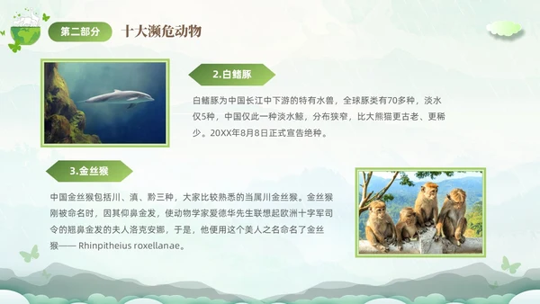 绿色清新剪纸风保护濒危动物拯救美好生命主题PPT世界动物日