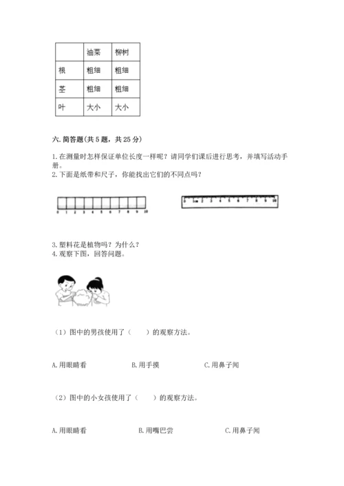 教科版一年级上册科学期末测试卷附完整答案（全优）.docx