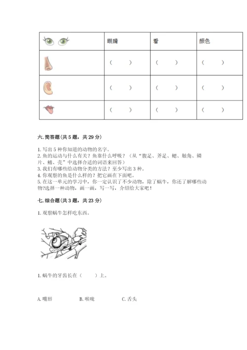 教科版小学科学一年级下册期末测试卷加答案.docx