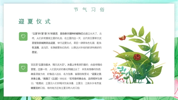 立夏习俗文化荷花池避暑PPT模板