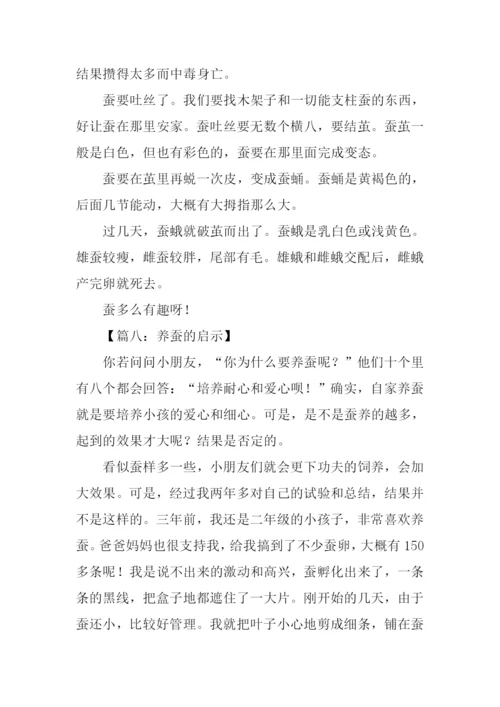 关于养蚕的作文.docx