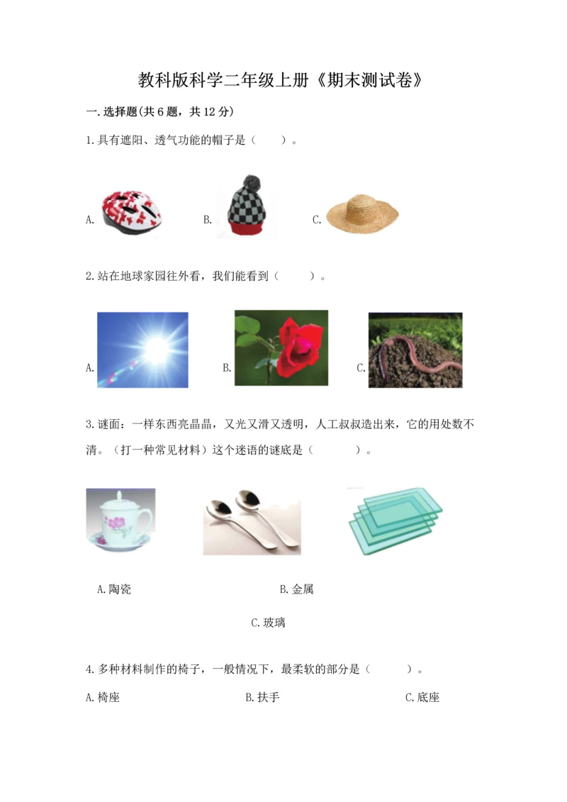 教科版科学二年级上册《期末测试卷》精品（综合题）.docx