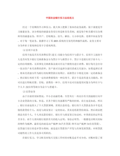 精编之中国农业银行实习总结范文.docx
