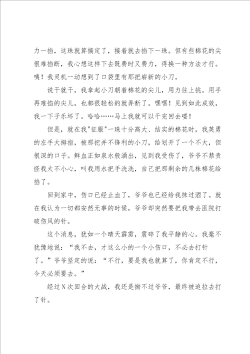 以爱为话题作文集锦九篇