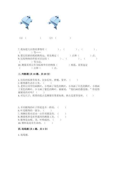 教科版一年级上册科学期末测试卷（能力提升）.docx
