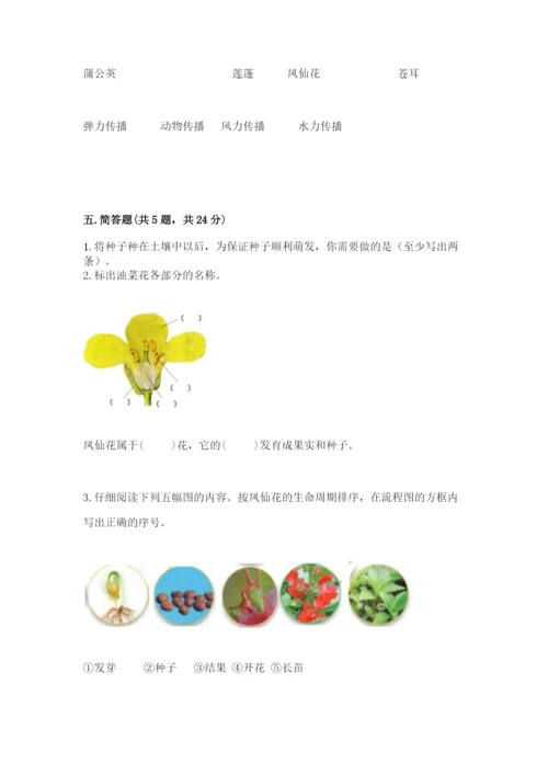 科学四年级下册第一单元植物的生长变化测试卷（培优b卷）.docx