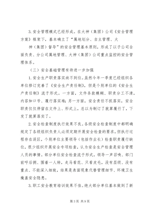 大神(集团)公司安委会会议汇报材料.docx