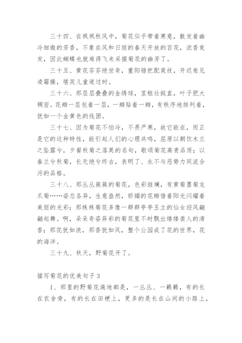 描写菊花的优美句子.docx